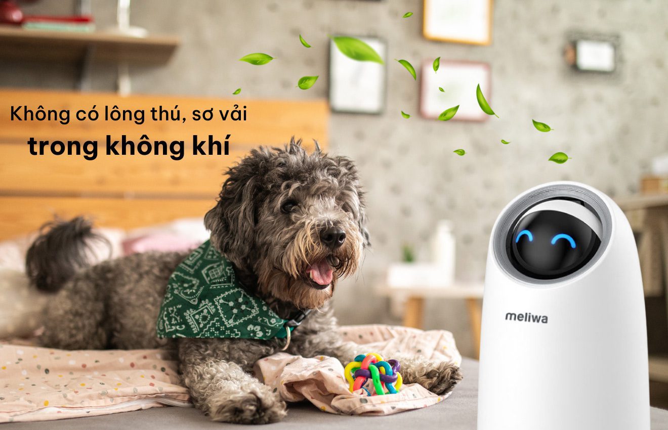 Máy lọc không khí meliwa M20