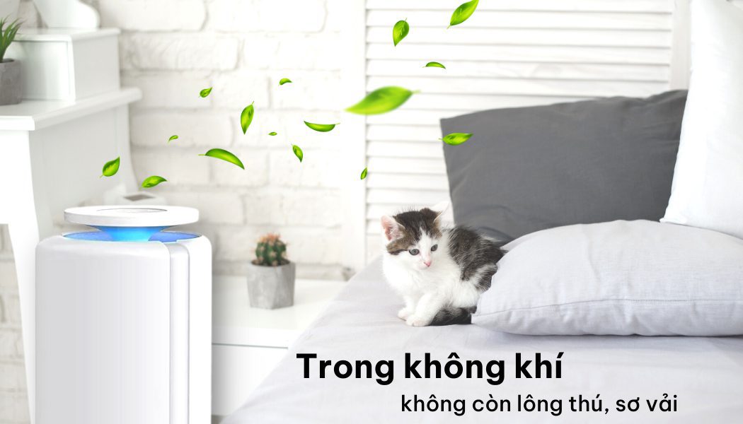 Máy lọc không khí meliwa M50